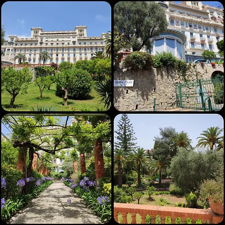 Apartment Riviera Palace *